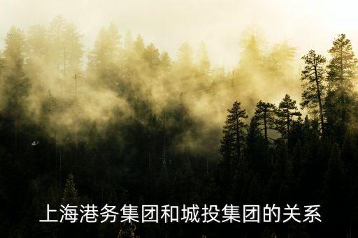  上海港務(wù)集團和城投集團的關(guān)系