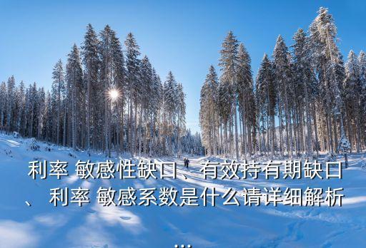  利率 敏感性缺口、有效持有期缺口、 利率 敏感系數(shù)是什么請(qǐng)?jiān)敿?xì)解析...