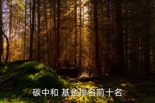 有關(guān)環(huán)保的基金,環(huán)?；鹎笆琶?/></a></span><span id=