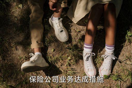  保險公司業(yè)務(wù)達(dá)成措施
