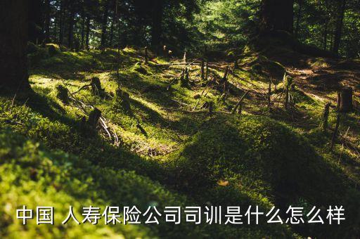 中國 人壽保險(xiǎn)公司司訓(xùn)是什么怎么樣