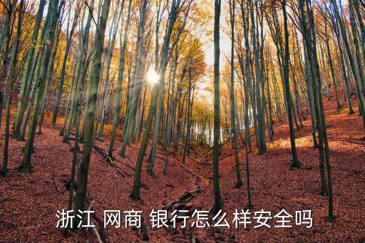 浙江網(wǎng)商銀行馬云電話(huà)