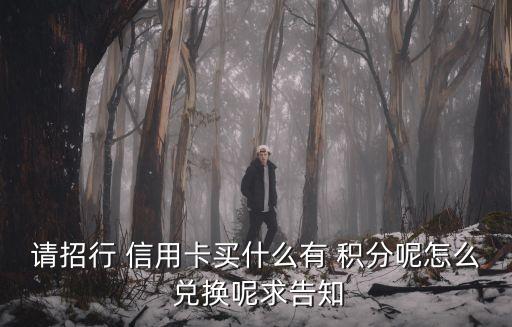 請(qǐng)招行 信用卡買(mǎi)什么有 積分呢怎么 兌換呢求告知