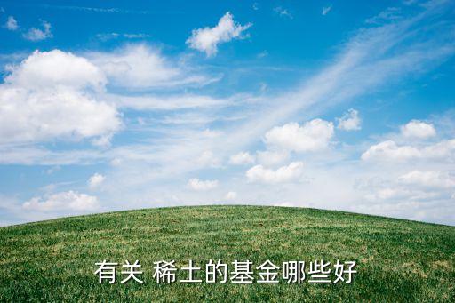 有關 稀土的基金哪些好