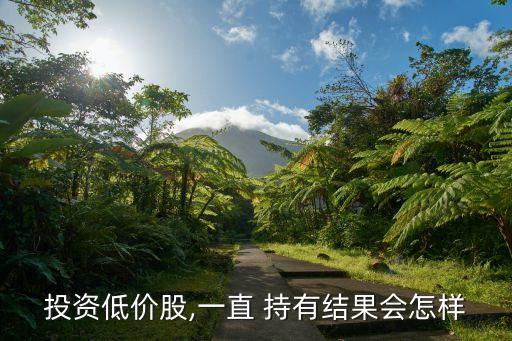 投資低價(jià)股,一直 持有結(jié)果會怎樣