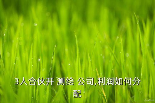 3人合伙開(kāi) 測(cè)繪 公司,利潤(rùn)如何分配