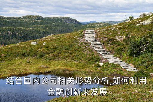 結(jié)合國內(nèi)公司相關形勢分析,如何利用 金融創(chuàng)新來發(fā)展