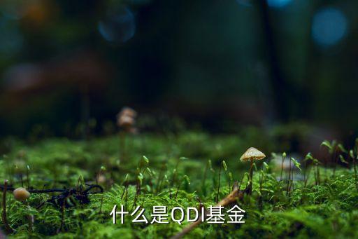 工商銀行基金嘉實(shí)海外查詢(xún),嘉實(shí)海外基金查詢(xún)070012