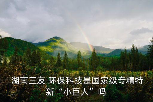  湖南三友 環(huán)?？萍际菄?guó)家級(jí)專精特新“小巨人”嗎