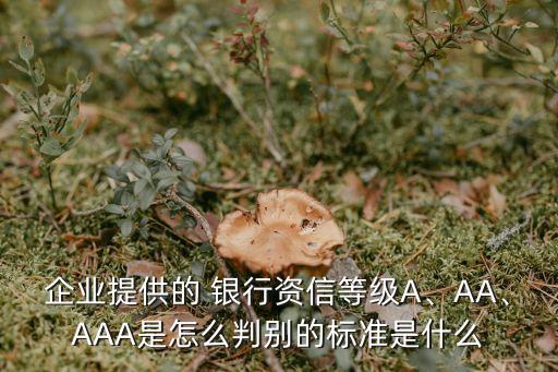企業(yè)提供的 銀行資信等級(jí)A、AA、AAA是怎么判別的標(biāo)準(zhǔn)是什么