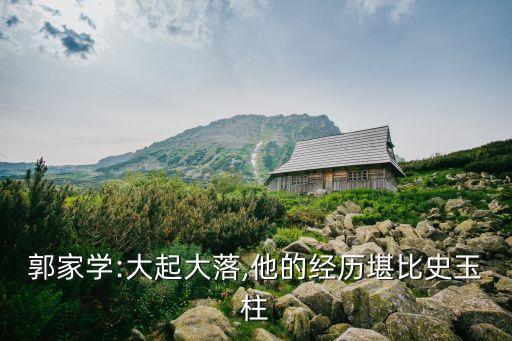 郭家學:大起大落,他的經(jīng)歷堪比史玉柱