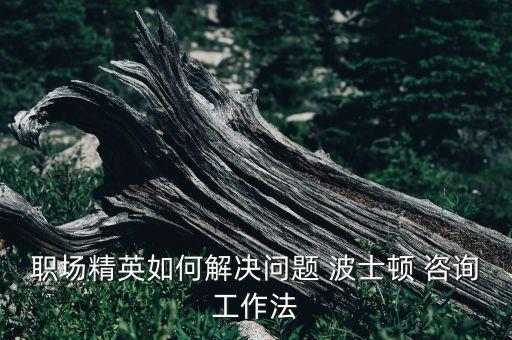 波士頓咨詢(xún)公司網(wǎng)絡(luò),bcg波士頓咨詢(xún)公司