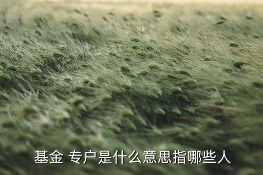 基金期貨專(zhuān)戶(hù),商品期貨ETF基金有哪些