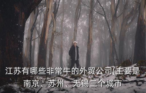 江蘇有哪些非常牛的外貿(mào)公司(主要是南京、蘇州、無錫三個城市