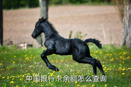  中國(guó)銀行卡余額怎么查詢(xún)