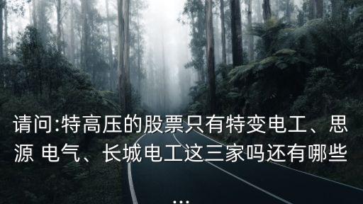 請問:特高壓的股票只有特變電工、思源 電氣、長城電工這三家嗎還有哪些...