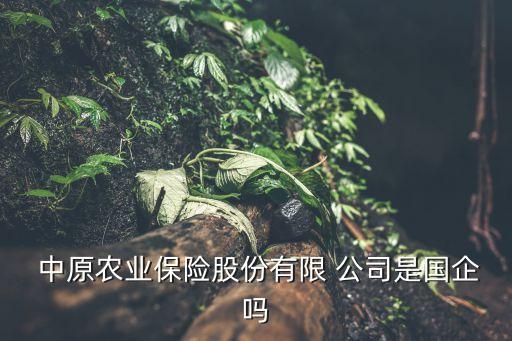  中原農業(yè)保險股份有限 公司是國企嗎