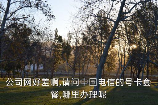 公司網(wǎng)好差啊,請問中國電信的號(hào)卡套餐,哪里辦理呢