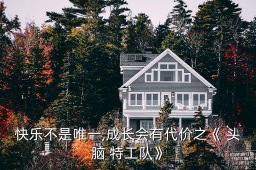 快樂不是唯一,成長會(huì)有代價(jià)之《 頭腦 特工隊(duì)》