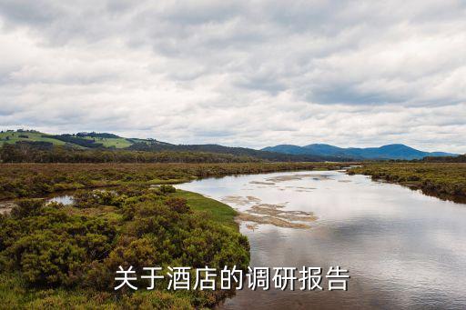 關于酒店的調(diào)研報告