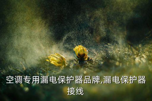 空調(diào)專用漏電保護器品牌,漏電保護器接線