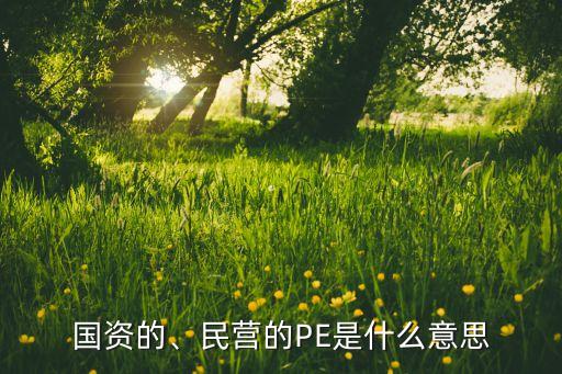 國資的、民營的PE是什么意思
