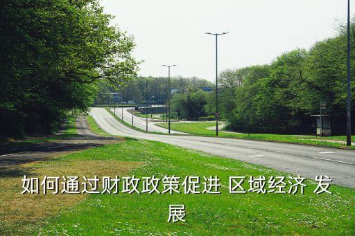 中國(guó)區(qū)域經(jīng)濟(jì)發(fā)展與金融支撐問題研究