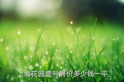  上?；▓@壹號房價多少錢一平