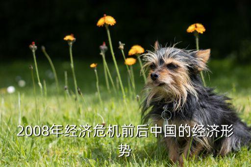 2008年經(jīng)濟(jì)危機(jī)前后中國的經(jīng)濟(jì)形勢(shì)