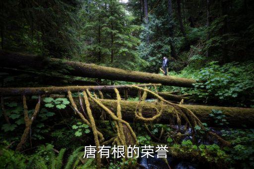2013中國有色金屬科技進(jìn)步獎(jiǎng),有色金屬協(xié)會(huì)科技進(jìn)步獎(jiǎng)