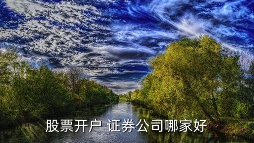 上海國(guó)開(kāi)證券如何,上海開(kāi)哪個(gè)證券的戶(hù)比較好
