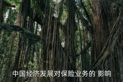 中國經(jīng)濟(jì)發(fā)展對保險(xiǎn)業(yè)務(wù)的 影響