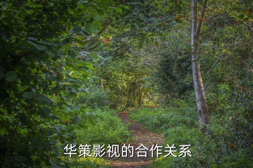  華策影視的合作關系