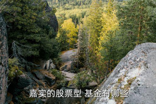 嘉實低碳環(huán)?；饍糁?嘉實環(huán)保低碳基金001616