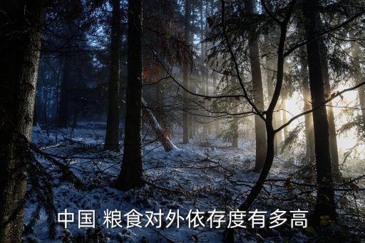 中國 糧食對(duì)外依存度有多高