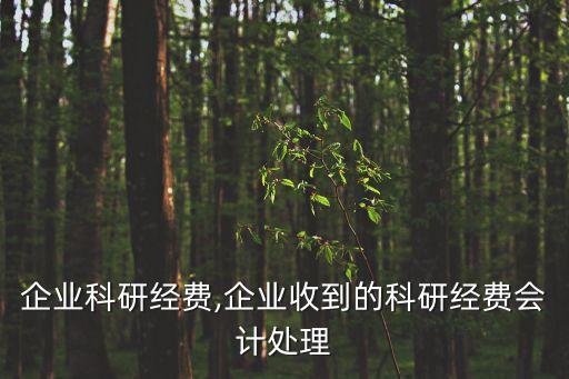 中國企業(yè)科研經(jīng)費(fèi),企業(yè)收到的科研經(jīng)費(fèi)會(huì)計(jì)處理