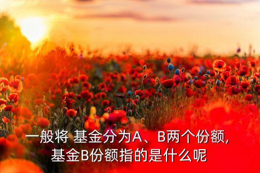 一般將 基金分為A、B兩個份額, 基金B(yǎng)份額指的是什么呢