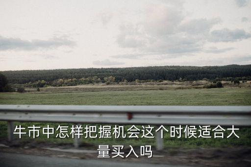  牛市中怎樣把握機(jī)會(huì)這個(gè)時(shí)候適合大量買(mǎi)入嗎