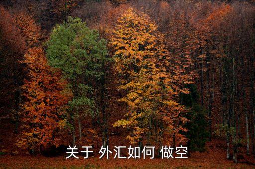 關于 外匯如何 做空