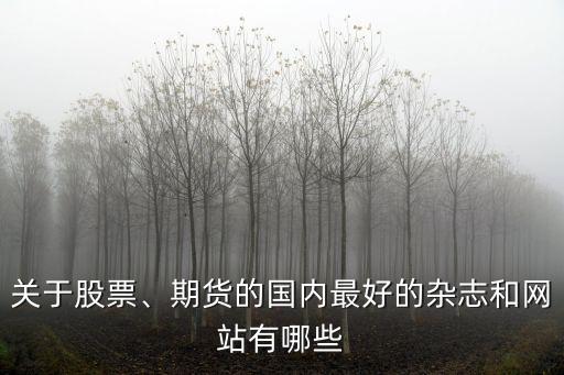 關(guān)于股票、期貨的國(guó)內(nèi)最好的雜志和網(wǎng)站有哪些
