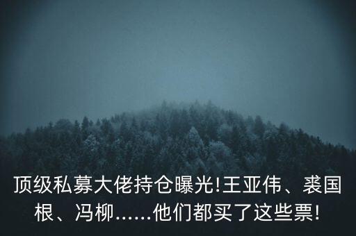 頂級私募大佬持倉曝光!王亞偉、裘國根、馮柳……他們都買了這些票!