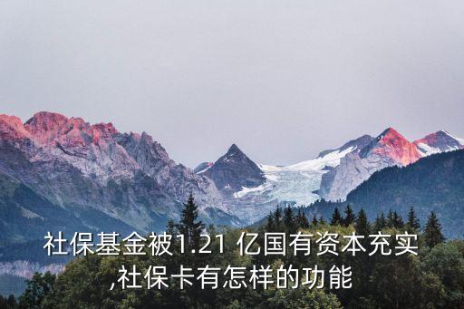 社?；鸨?.21 億國有資本充實,社?？ㄓ性鯓拥墓δ? class=