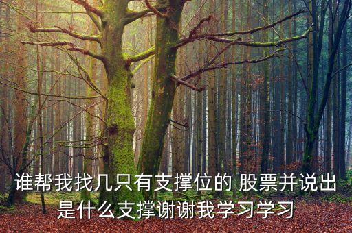 誰幫我找?guī)字挥兄挝坏?股票并說出是什么支撐謝謝我學(xué)習學(xué)習