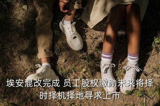 埃安混改完成 員工股權(quán)激勵未來將擇時擇機(jī)擇地尋求上市