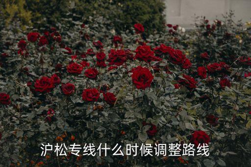 滬松專(zhuān)線(xiàn)什么時(shí)候調(diào)整路線(xiàn)