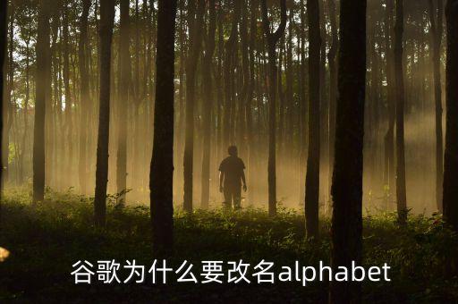 谷歌收購(gòu)的智能家居公司,( )年谷歌收購(gòu)智能家居設(shè)備制造商N(yùn)est。
