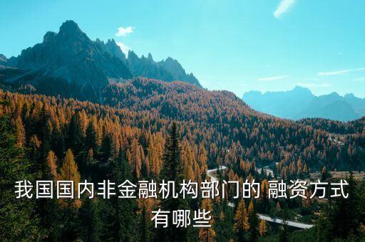 我國國內非金融機構部門的 融資方式有哪些