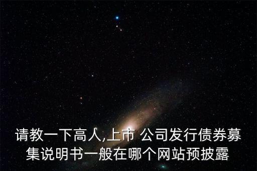 請(qǐng)教一下高人,上市 公司發(fā)行債券募集說(shuō)明書(shū)一般在哪個(gè)網(wǎng)站預(yù)披露