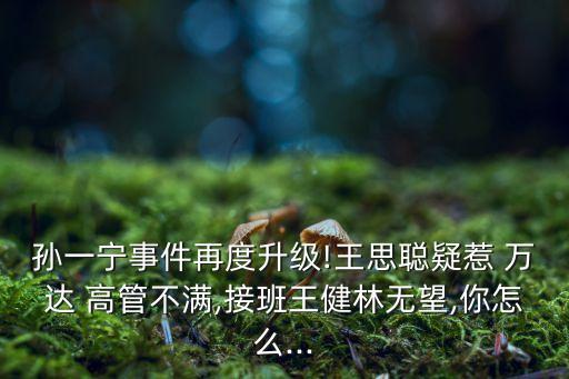 孫一寧事件再度升級(jí)!王思聰疑惹 萬(wàn)達(dá) 高管不滿,接班王健林無(wú)望,你怎么...