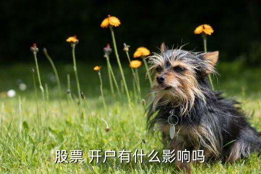 證券公司非現(xiàn)場(chǎng)開(kāi)戶(hù)弊端